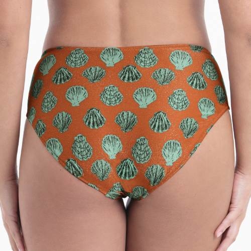 Maillots de bain Rosa Faia Mera marron slip de bikini