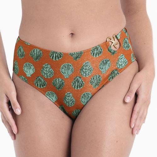 Maillots de bain Rosa Faia Mera marron slip de bikini