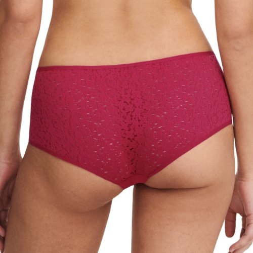 Chantelle Norah rose shortie