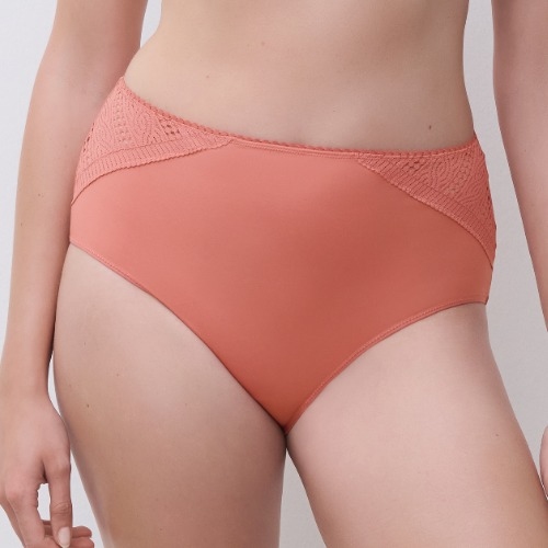 Chantelle  marron haut slip