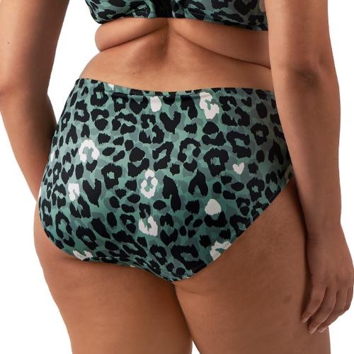 Elomi Swim Jungle Bay vert olive slip de bikini