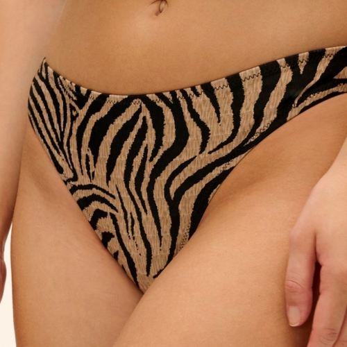 Freya Swim Tortoli Bay noir/brun slip de bikini