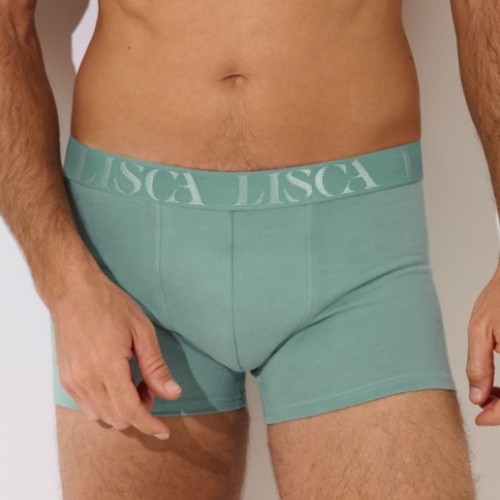 Lisca Heren Odysseus vert boxer