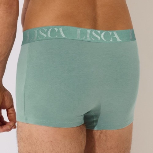 Lisca Heren Odysseus vert boxer