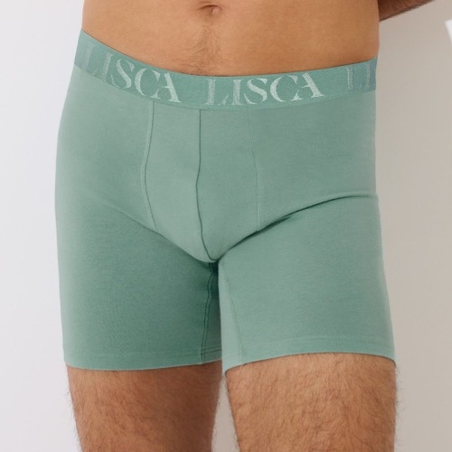 Lisca Heren Odysseus vert boxer