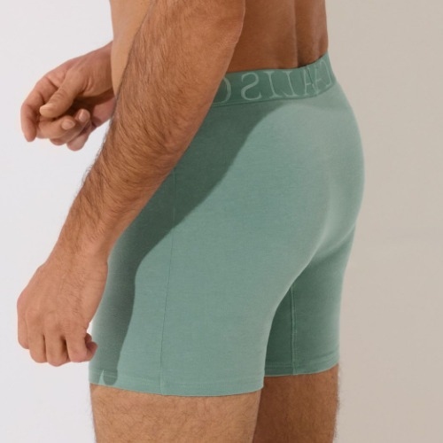 Lisca Heren Odysseus vert boxer