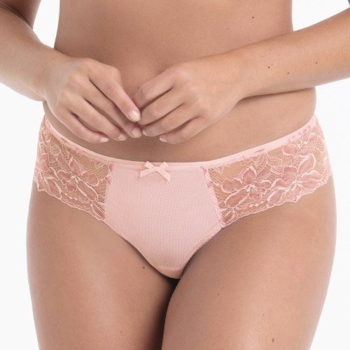 Rosa Faia Suzette wild rose shortie