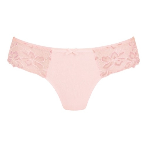 Rosa Faia Suzette wild rose shortie