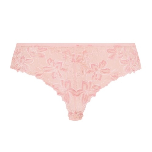 Rosa Faia Suzette wild rose shortie