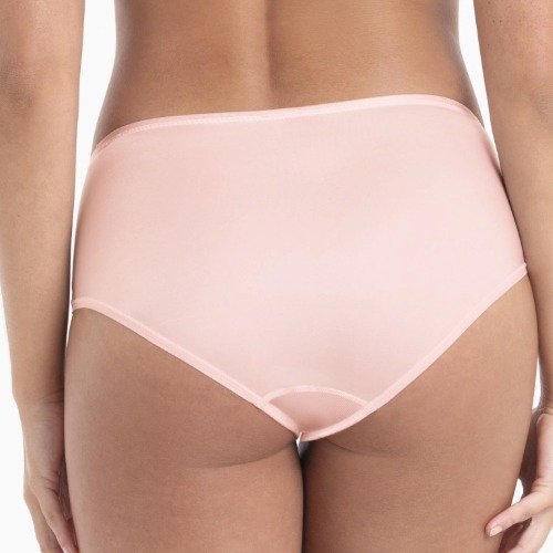 Rosa Faia Suzette wild rose slip