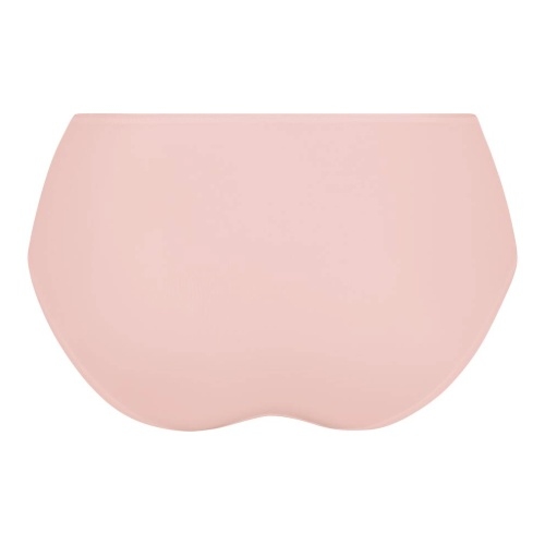 Rosa Faia Suzette wild rose slip