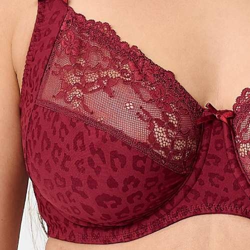 LingaDore Quotidien Basic rubis soutien-gorge rembourré
