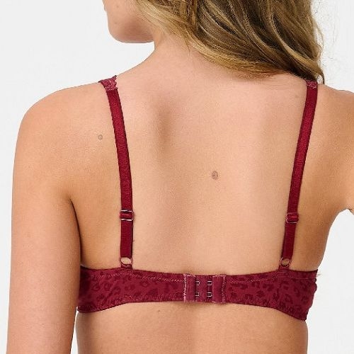 LingaDore Quotidien Uni Fit multicolor soutien-gorge rembourré