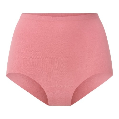 LingaDore Quotidien Basic dusty rose haut slip