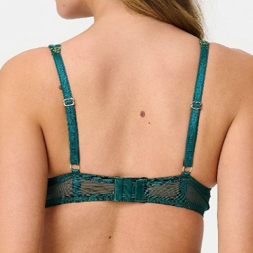 LingaDore Pine Green Lace pine green soutien-gorge rembourré