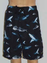 Les hommes de Shiwi Shark noir/print maillot de bain pour homme