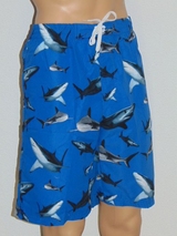 Les hommes de Shiwi Shark bleu/print maillot de bain pour homme
