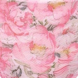 Anita Maternité Miss Rose rose/print slip