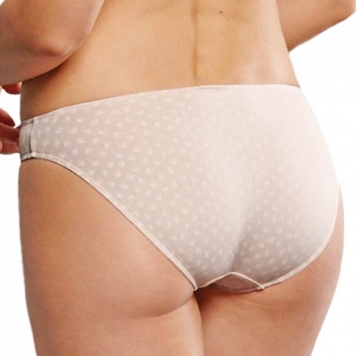 Rosa Faia Twin Art rose slip Rosa Faia Twin Art rose slip