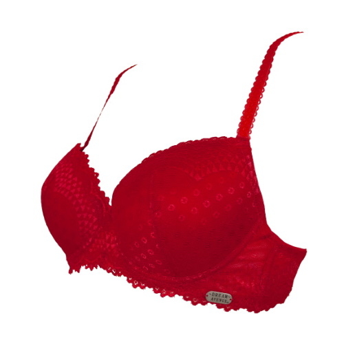 Dream Avenue Central Park rouge soutien-gorge rembourré Dream Avenue Central Park rouge soutien-gorge rembourré