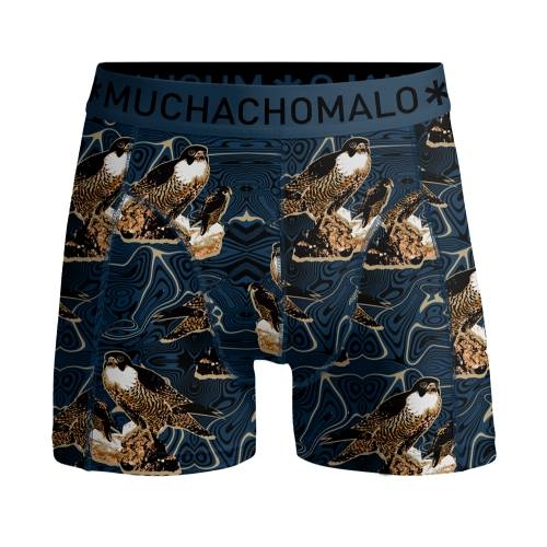 Muchachomalo Eagle bleu/print boxer pour hommes