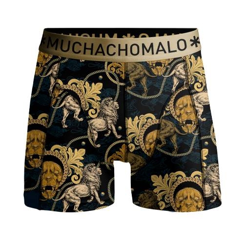 Muchachomalo Lion noir/or boxer