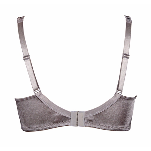 Elbrina Valerie gris/argent soutien-gorge rembourré Elbrina Valerie gris/argent soutien-gorge rembourré