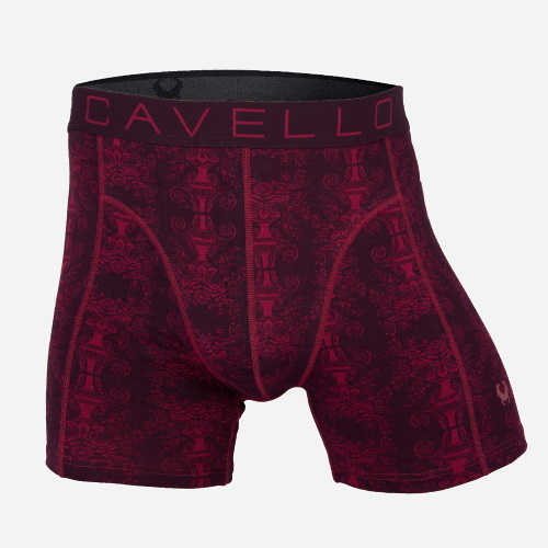 Cavello Romans rouge boxer Cavello Romans rouge boxer