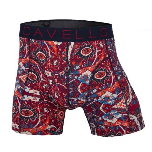 Cavello Borist rouge boxer Cavello Borist rouge boxer