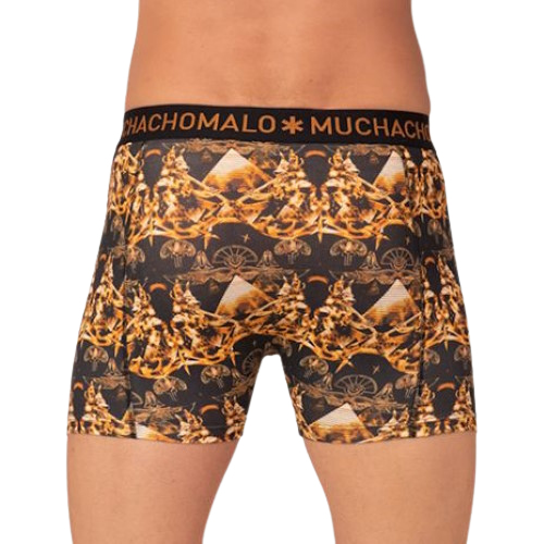 Muchachomalo Myth Egyptian noir/brun boxer Muchachomalo Myth Egyptian noir/brun boxer