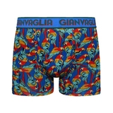 Gianvaglia Parrot bleu/print boxer