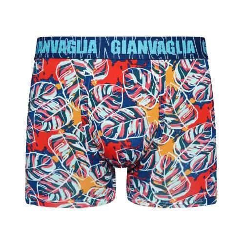 Gianvaglia Big Leaves multicolore/print boxer