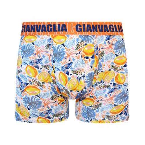 Gianvaglia Lemons jaune/print boxer