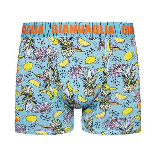 Gianvaglia Pineapple bleu/print boxer