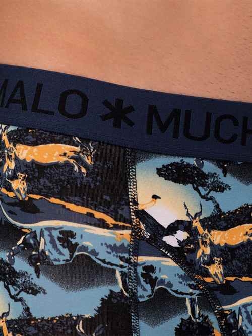 Muchachomalo Lion bleu/print boxer pour hommes Muchachomalo Lion bleu/print boxer pour hommes