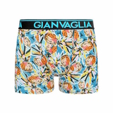 Gianvaglia Pineapple Art multicolore boxer