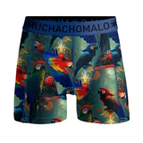 Muchachomalo Papagay bleu/print boxer pour hommes