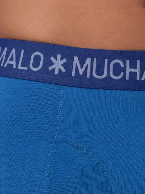 Muchachomalo Basic cobalt boxer Muchachomalo Basic cobalt boxer