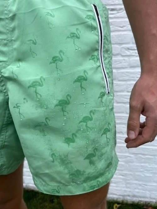 Bomain Magic Flamingo vert/print maillot de bain pour homme Bomain Magic Flamingo vert/print maillot de bain pour homme