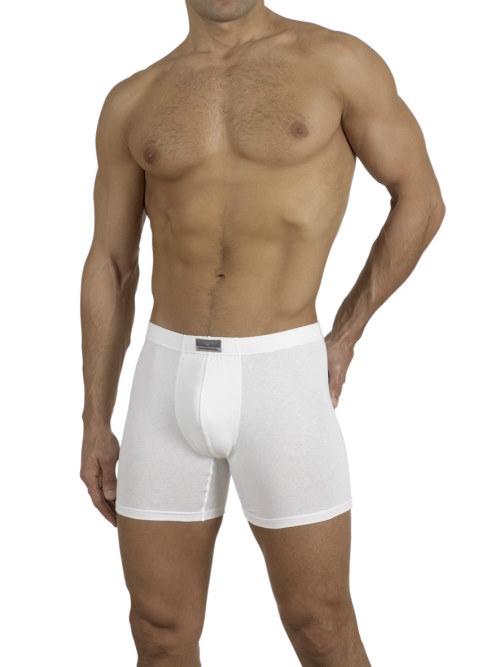 Entex ROSSOPORPORA blanc boxer Entex ROSSOPORPORA blanc boxer