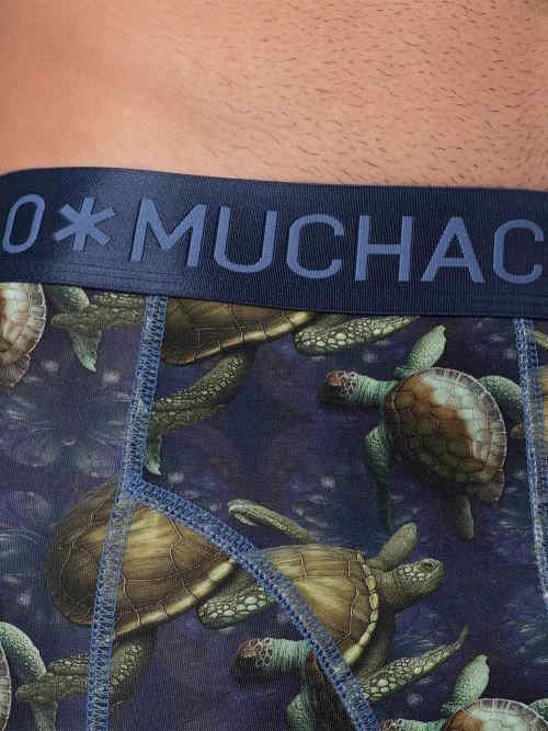 Muchachomalo Turtles bleu/print modal boxer Muchachomalo Turtles bleu/print modal boxer
