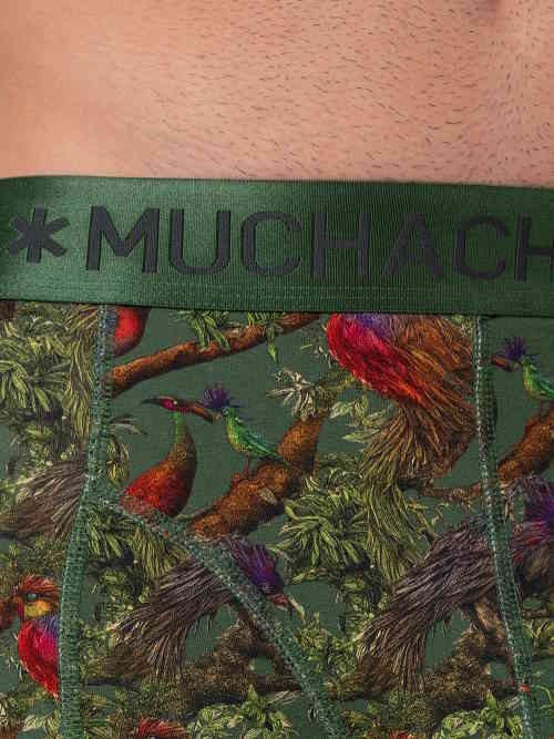 Muchachomalo BirdTree vert/print modal boxer Muchachomalo BirdTree vert/print modal boxer