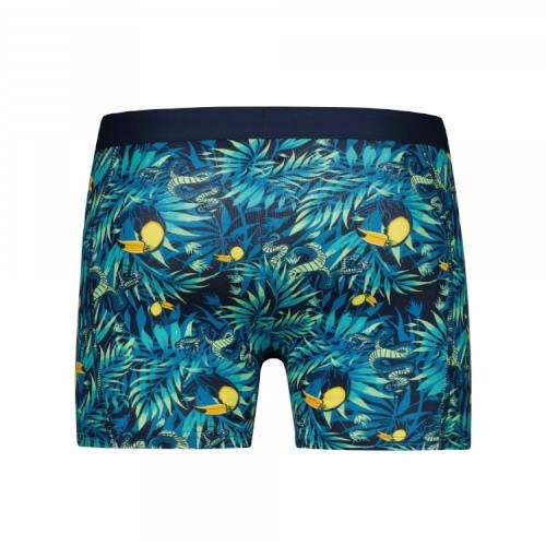 Battre mon boxeur Toucan Jungle bleu/print boxer Battre mon boxeur Toucan Jungle bleu/print boxer
