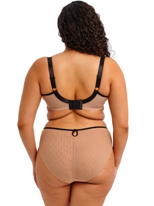 Elomi Teagan poudre soutien-gorge rembourré Elomi Teagan poudre soutien-gorge rembourré
