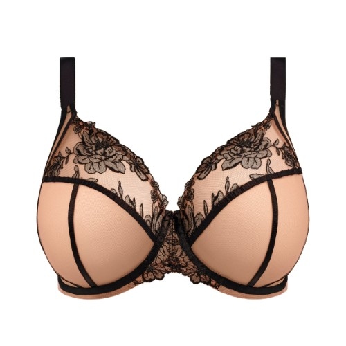 Elomi Teagan poudre soutien-gorge rembourré Elomi Teagan poudre soutien-gorge rembourré