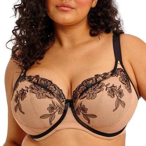 Elomi Teagan poudre soutien-gorge rembourré Elomi Teagan poudre soutien-gorge rembourré