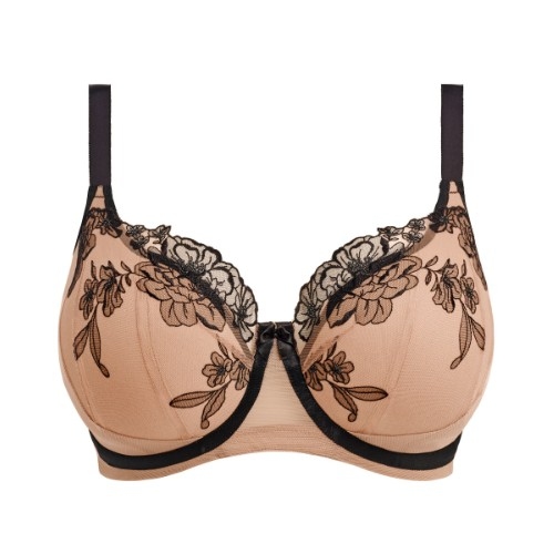 Elomi Teagan poudre soutien-gorge rembourré Elomi Teagan poudre soutien-gorge rembourré